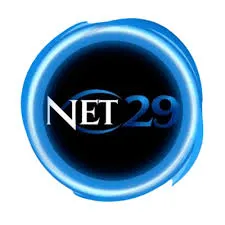 net29 APK Domino